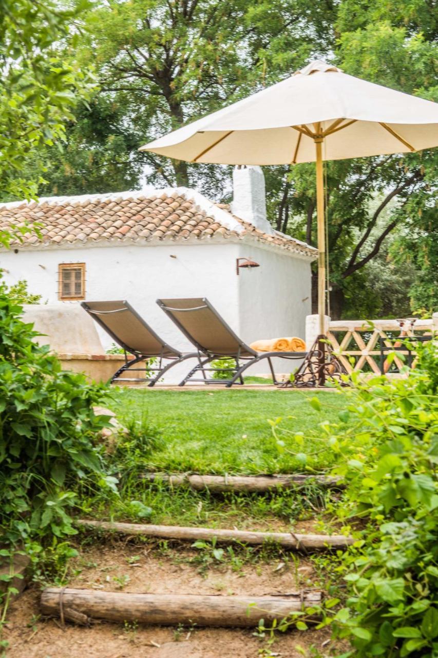 Casa Rural La Alameda Madridejos Exterior photo